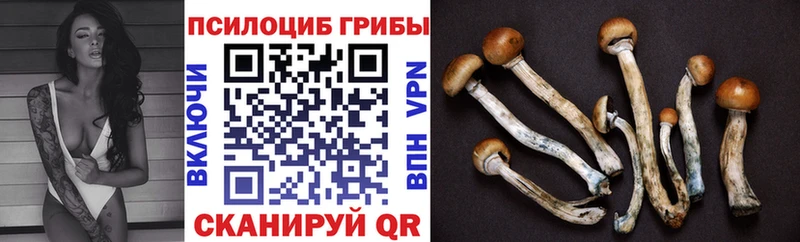 Псилоцибиновые грибы GOLDEN TEACHER  где продают   Кочубеевское 